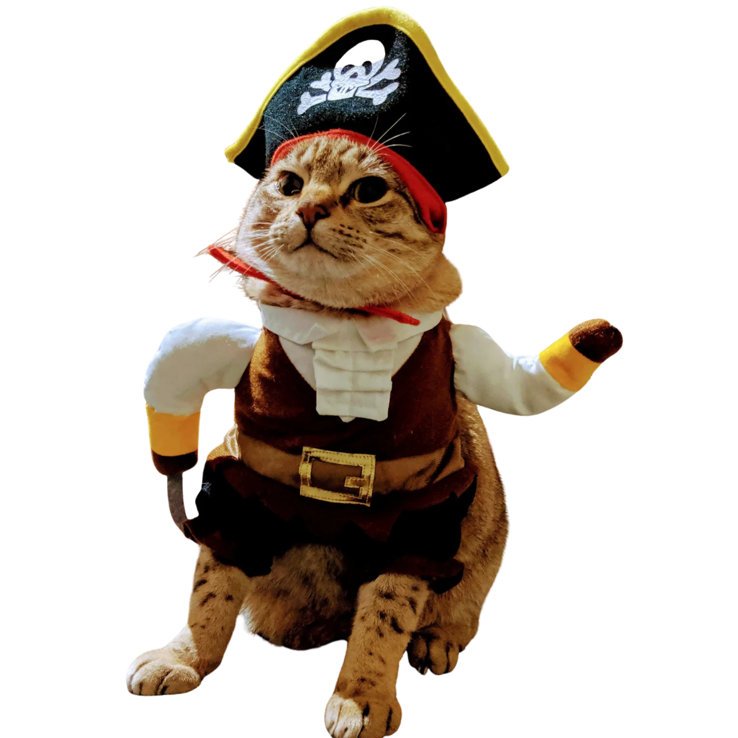 Pirate Costume Set With Hat Cosplay Halloween Christmas Pet Dog Cat Small Medium Large Cute Scary