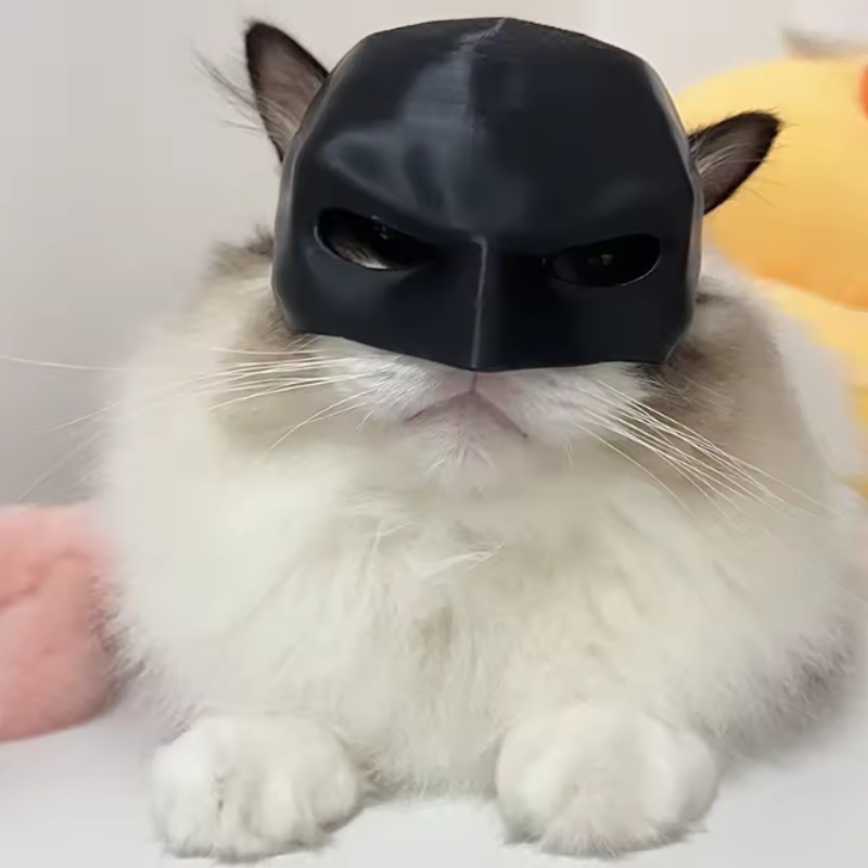 Pet Cat Dog Mask Half-Face Black Bat Handmade Adjustable Funny Halloween Cosplay Outfit Costume