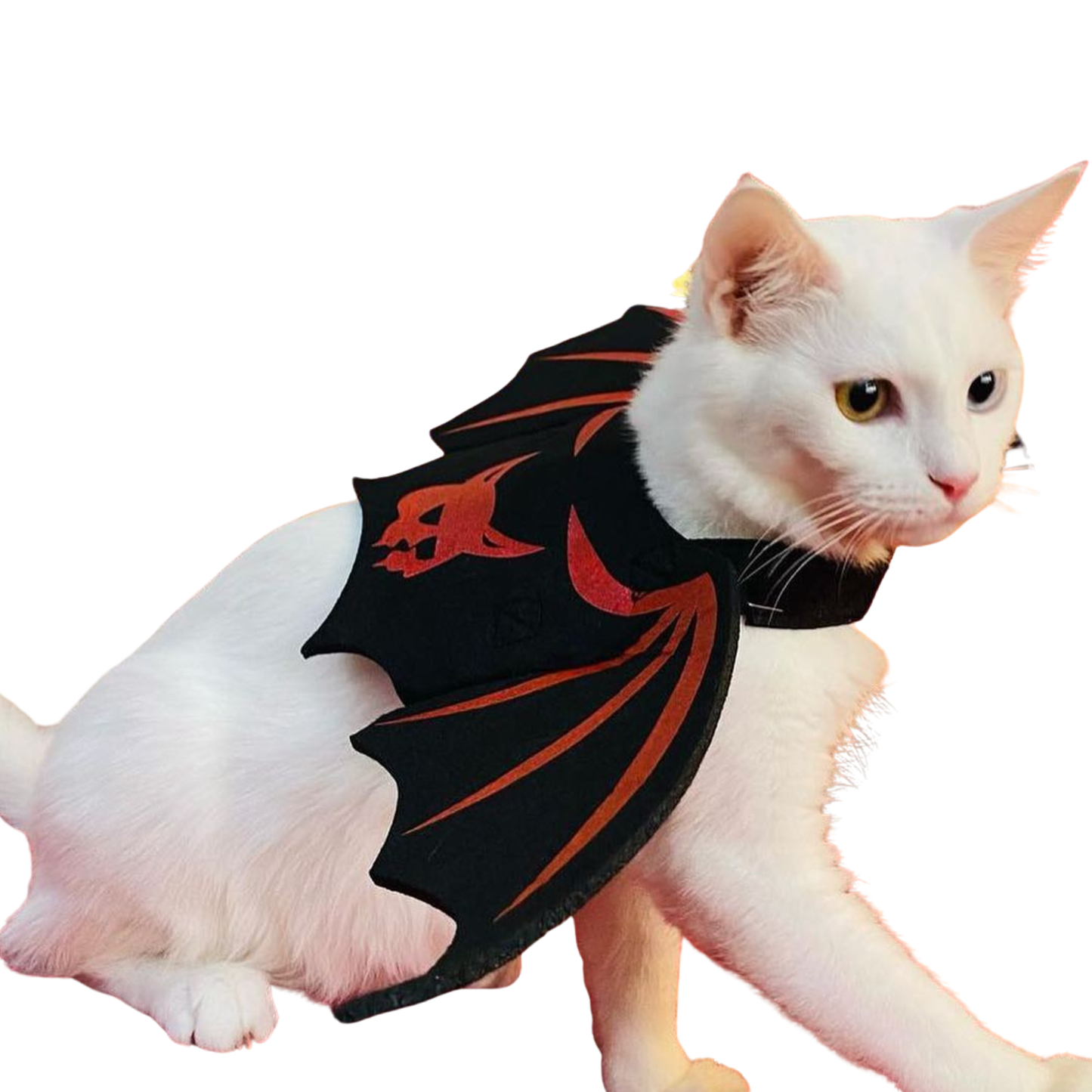 Halloween Pet Bat Wings Costume for Cats Dogs Funny Cosplay Outfit Holiday Decoration
