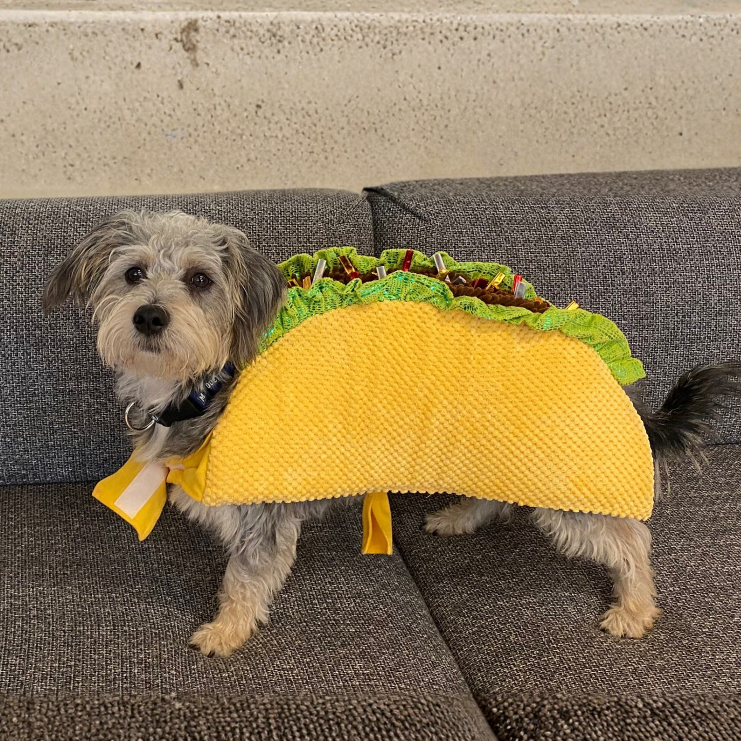 Hamburger Outfit For Cats & Dogs Funny Cute Scary Halloween Cosplay Pet Costume Hat Shirt Suit