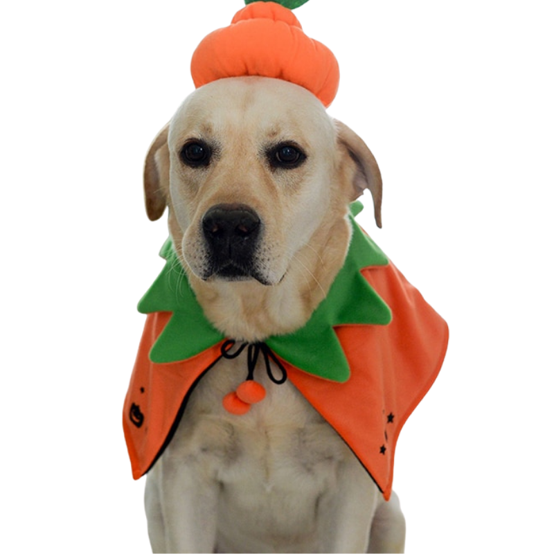 Cloak for Cats & Dogs Double-Sided Embroidered Halloween Cosplay Party pet costume