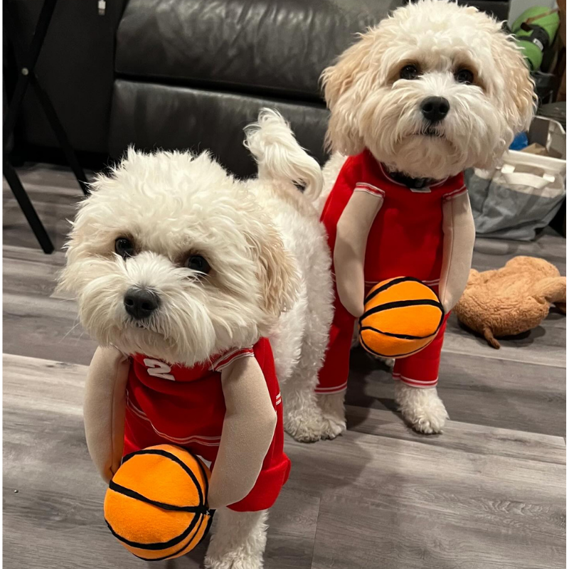 Basketball Player Pet Costume Dogs Cats Jersey Plush Ball Funny Halloween Cosplay Outfit