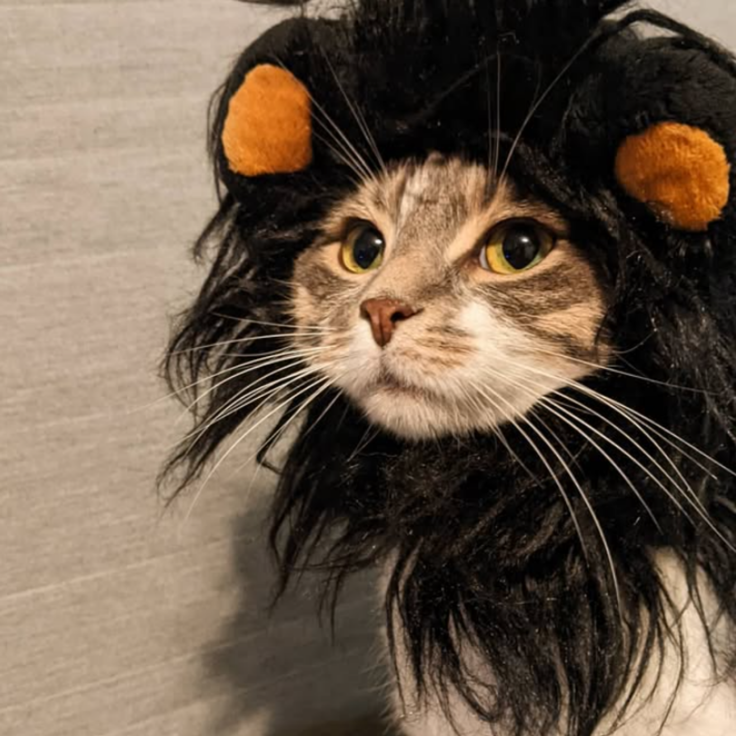 Lion Mane Pet Costume Wig Hat for Cats Dogs Funny Halloween Cosplay Outfit