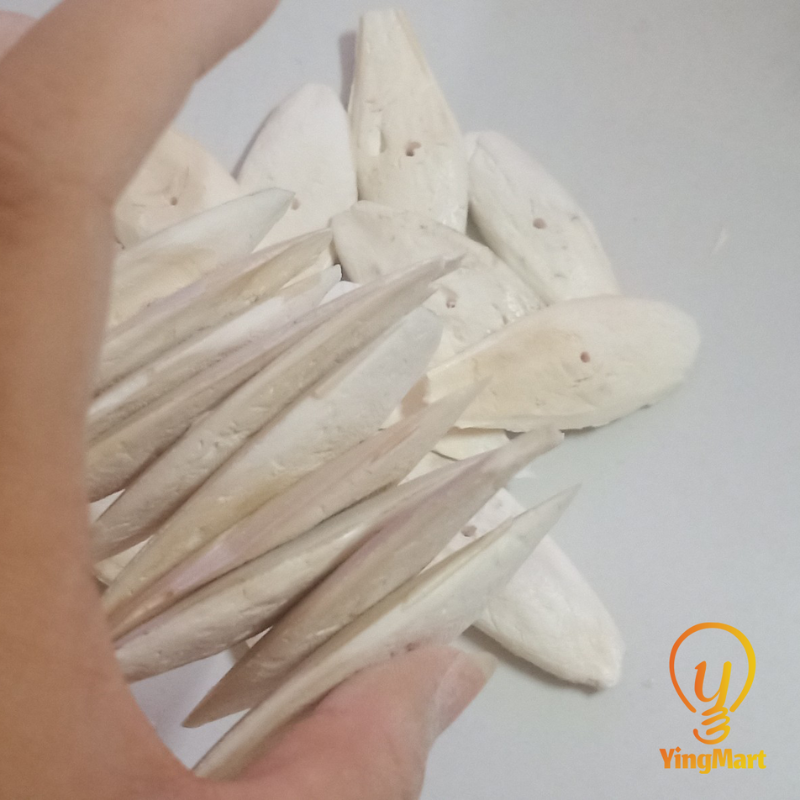 Natural Small Ocean Cuttlefish Bone Pack 100g, Friendly Calcium Supplement For Bird | Parrot | Snail | Teriumtanks | Reptiles | Worms | Tortoise