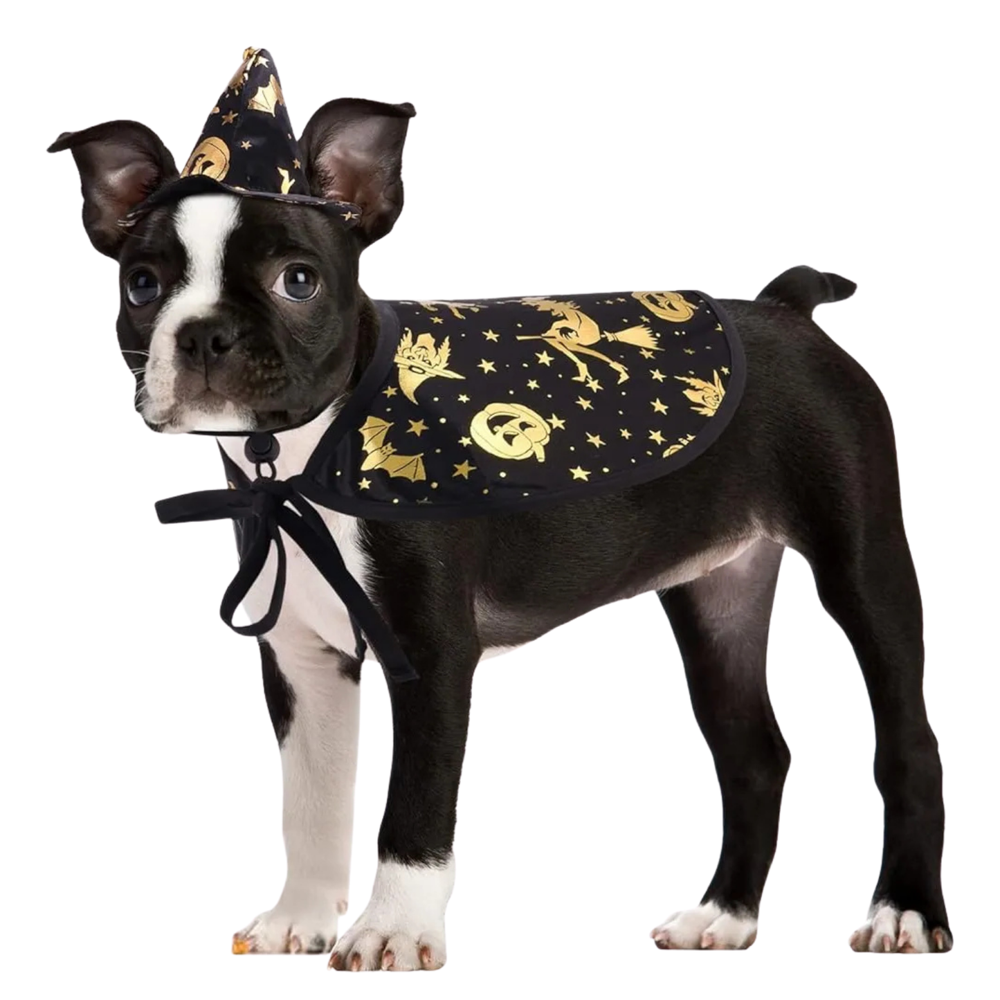 Witch Cloak Hat Set For Cats Dogs Wizard Theme Halloween Party Pet Costume Cosplay