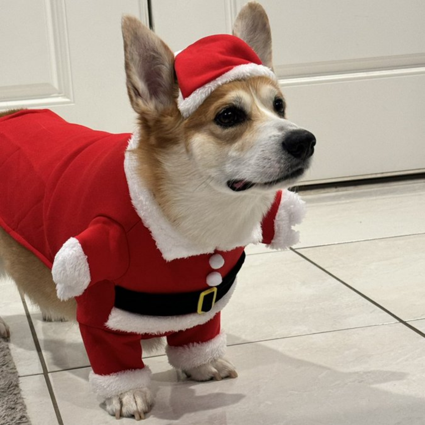 Christmas Pet Santa Claus Costume Warm Jumpsuit Hoodie for Dogs Cats Winter Outfit