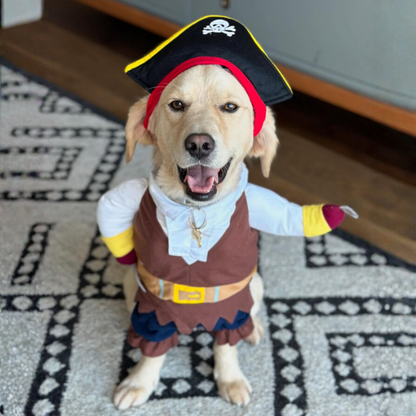Pirate Costume Set With Hat Cosplay Halloween Christmas Pet Dog Cat Small Medium Large Cute Scary
