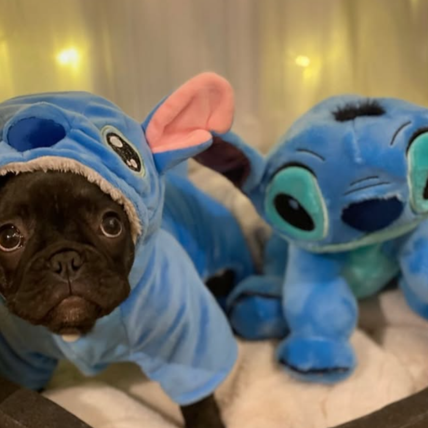 Stitch Pet Costume Jumpsuit for Cats Warm Autumn Winter Cute Halloween Cosplay Dog Outfit