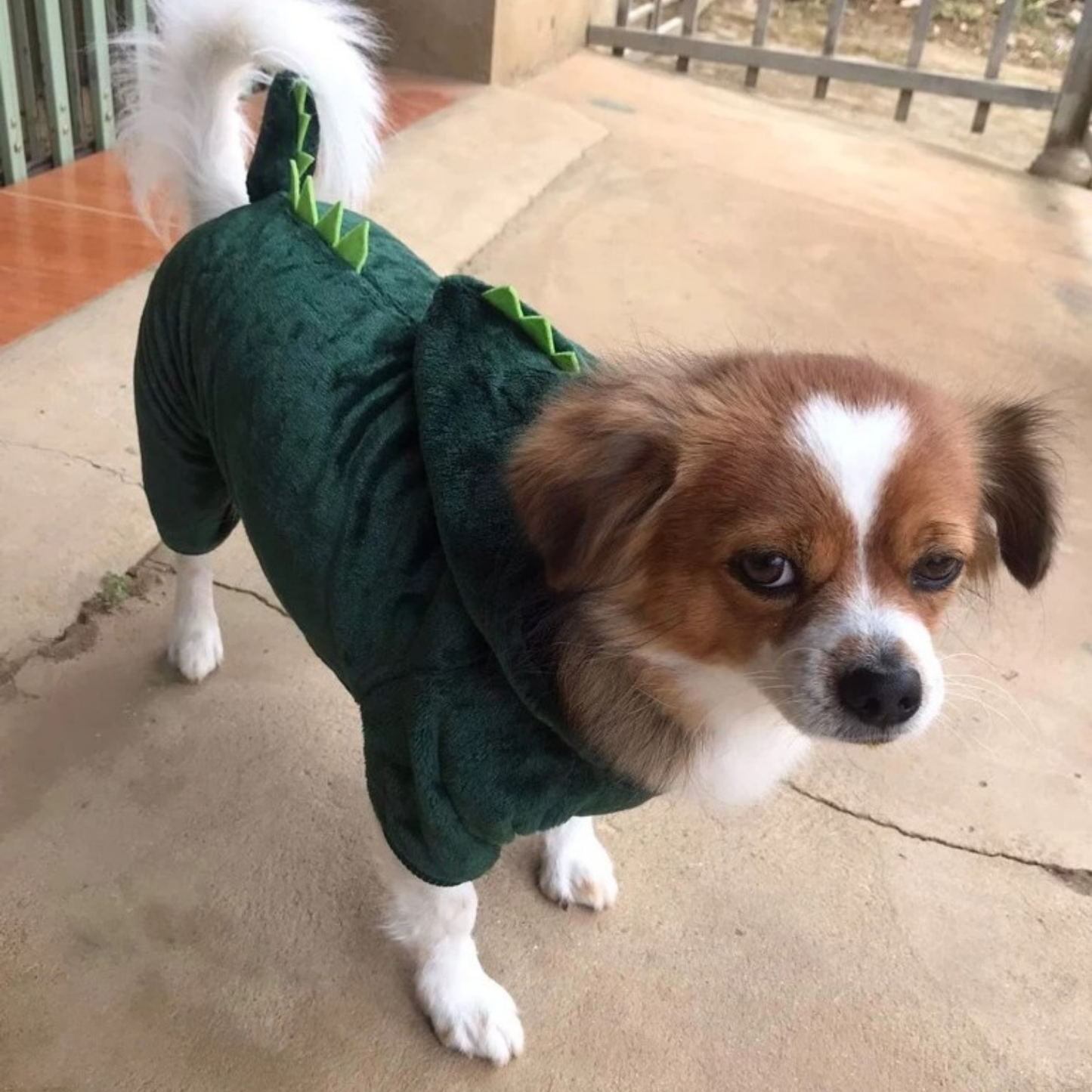 Funny Dinosaur Pet Costume Warm Fleece Hoodie for Cats Dogs Halloween Cosplay Outfit