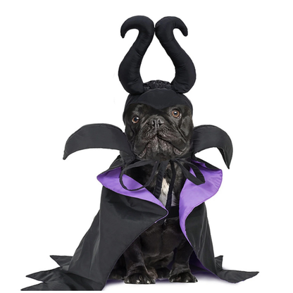 Pet Costume Cloak Horned Hat for Cats Dogs Witch Wizard Sorceress Black Purple Halloween Cosplay
