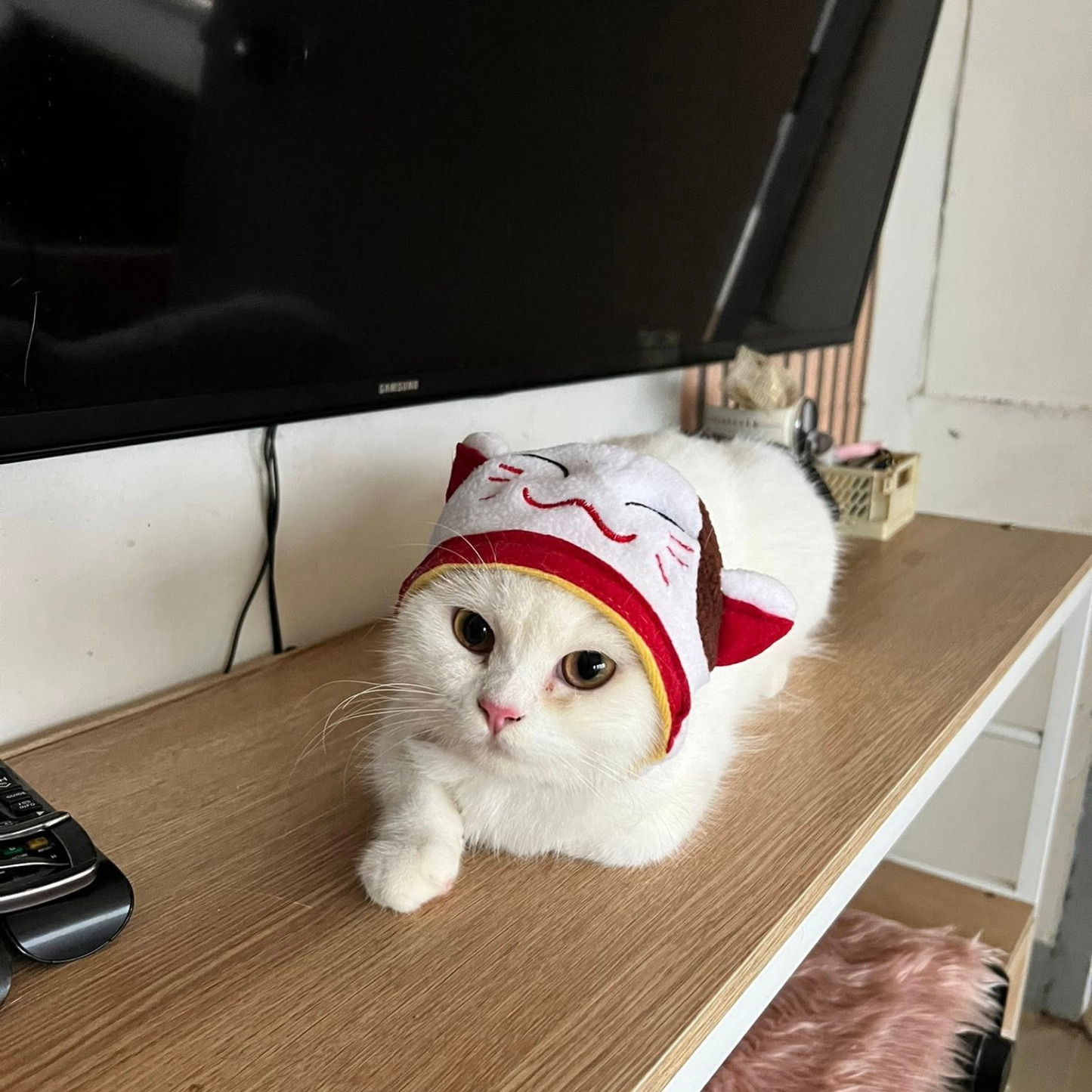 Cotton Cap Dogs Cat Hat Decorative Party Cosplay Halloween Costume Small Medium Large Outfit