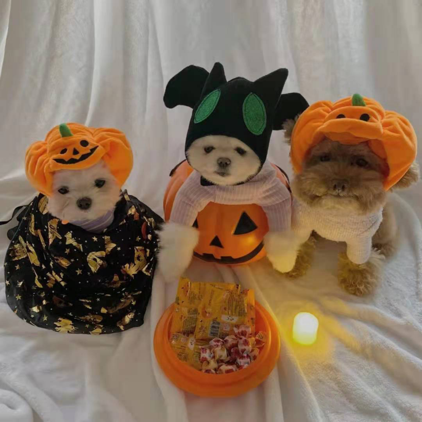 Pet Cat Dog Pumpkin Hat Halloween Ghost Festival Decoration Headwear Supplies Costume
