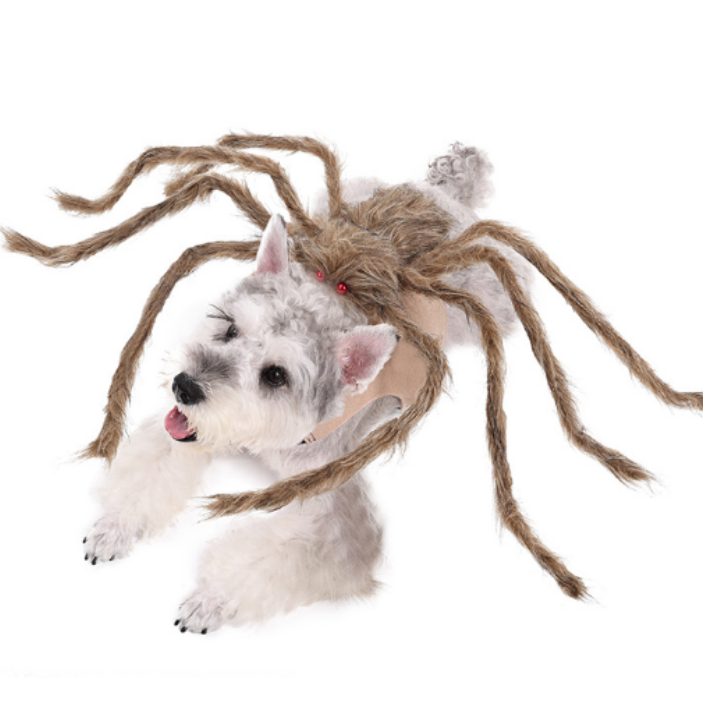 Big Spider Pet Costume for Dogs Cats Funny Halloween Cosplay Outfit Cute Pet Shirt