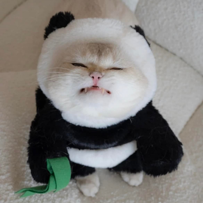 Funny Panda Pet Costume Dress Up Outfit for Dogs Cats Halloween Cosplay Clothes