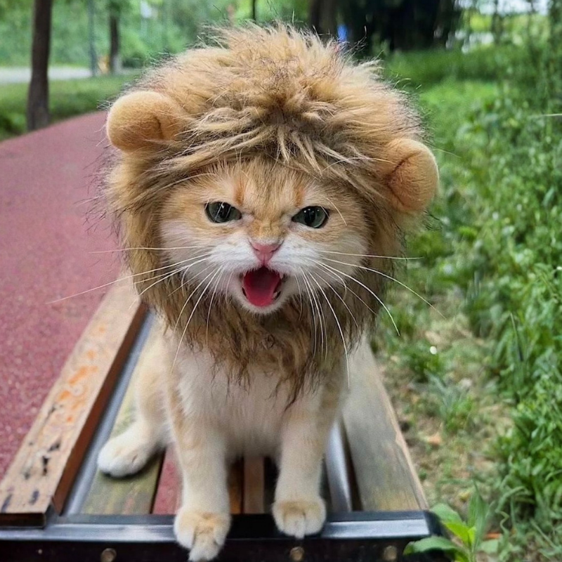Lion Mane Wig Puppy Kitten Realistic Funny Halloween Cosplay Pet Costume Dog Cat Outfit
