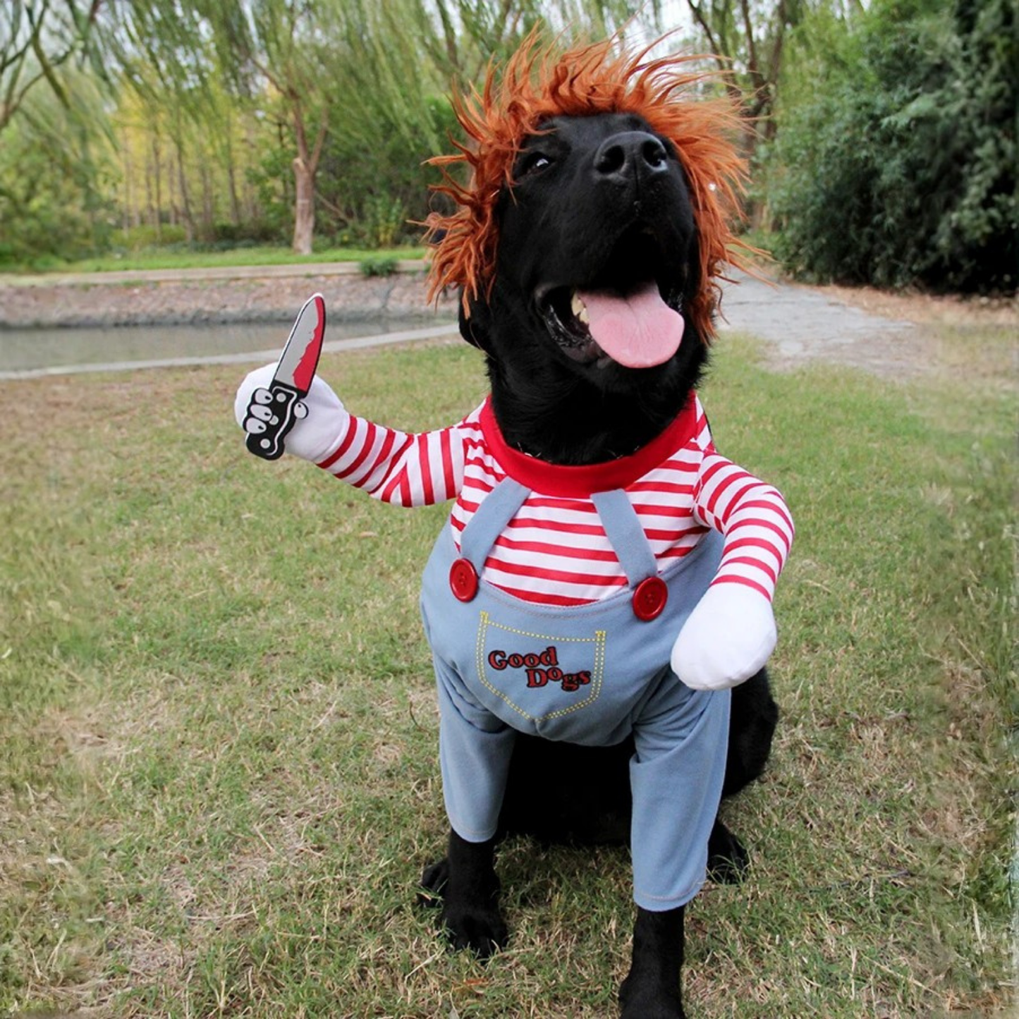 Outfit Set Medium Large Bulldog Pug Funny Novelty Cute Scary Halloween Dog Costume Cosplay