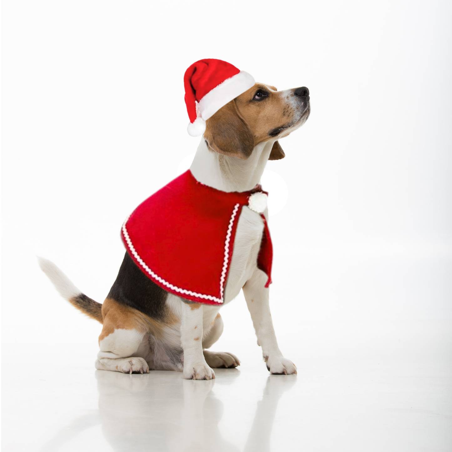 Christmas Elk Pet Costume Warm Cloak Hat Set for Small Dogs Cats Winter Hoodie Outfit