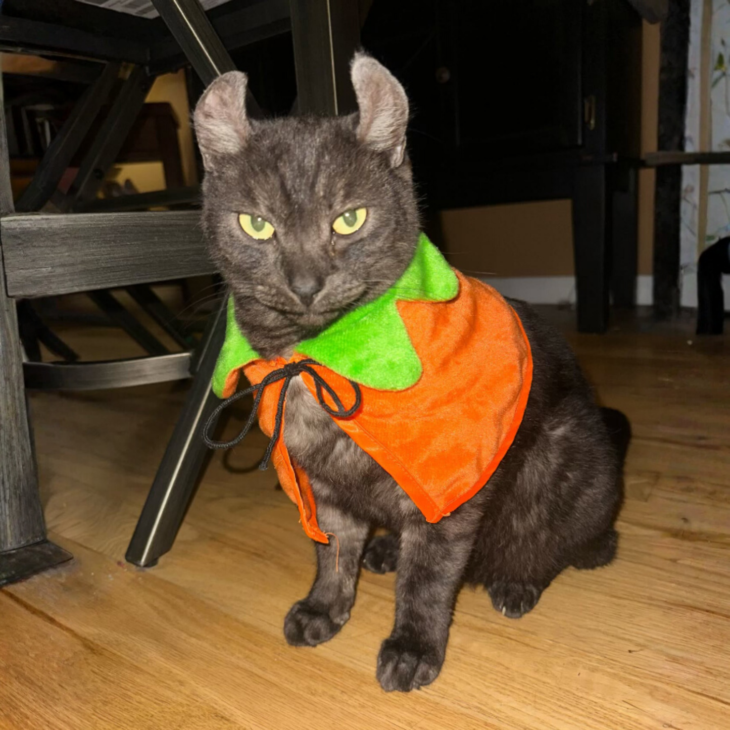 Cloak for Cats & Dogs Double-Sided Embroidered Halloween Cosplay Party pet costume