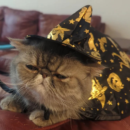 Witch Cloak Hat Set For Cats Dogs Wizard Theme Halloween Party Pet Costume Cosplay