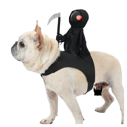 Dark Knight Pet Costume Dog Cat Halloween Cosplay Outfit Cute Rider Shirt for Small Large Pets