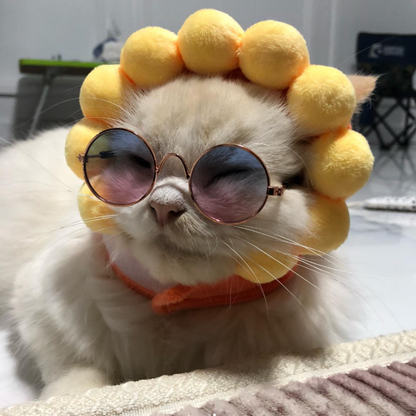 Cotton Cap Dogs Cat Hat Decorative Party Cosplay Halloween Costume Small Medium Large Outfit