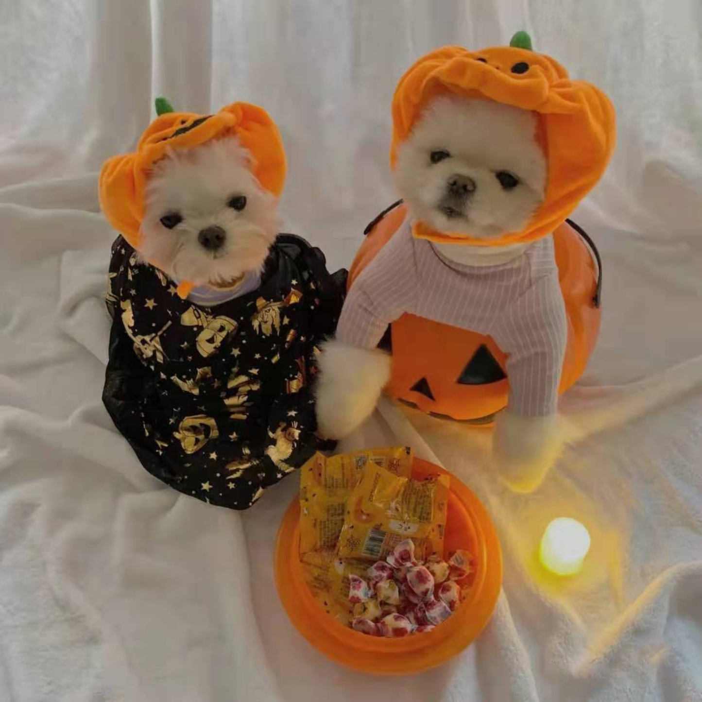 Pet Cat Dog Pumpkin Hat Halloween Ghost Festival Decoration Headwear Supplies Costume