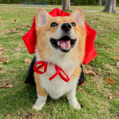 Funny Bat Vampire Cape Pet Costume for Cats Dogs Halloween Cloak Cosplay Outfit