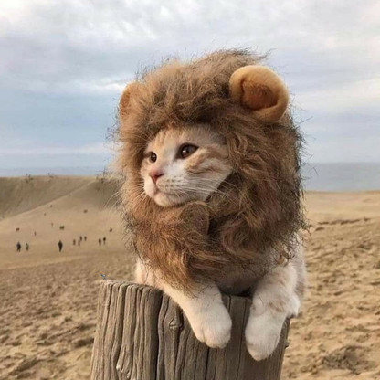 Lion Mane Wig Puppy Kitten Realistic Funny Halloween Cosplay Pet Costume Dog Cat Outfit