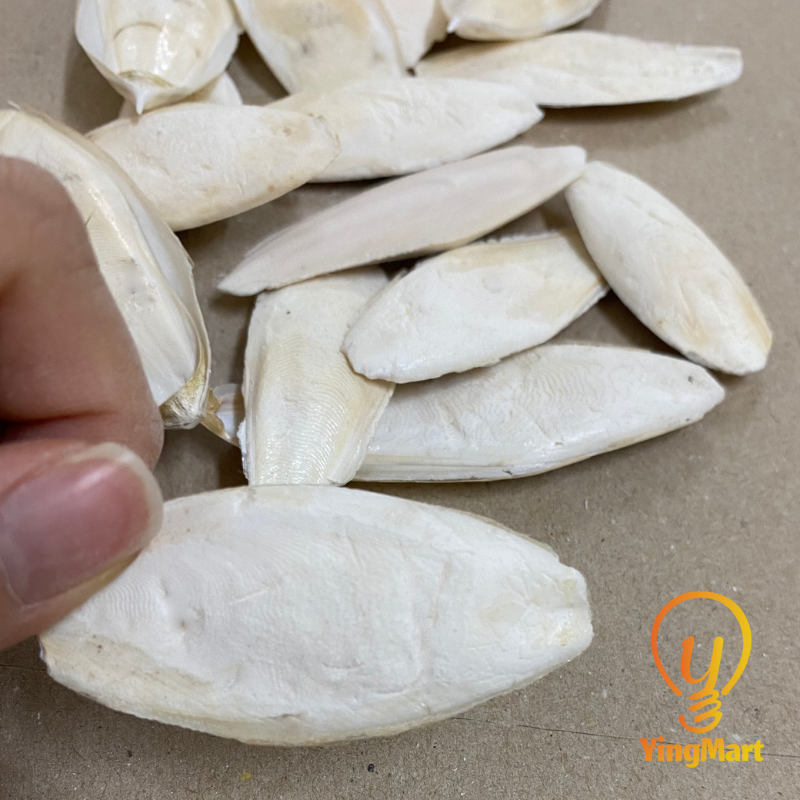 Natural Small Ocean Cuttlefish Bone Pack 100g, Friendly Calcium Supplement For Bird | Parrot | Snail | Teriumtanks | Reptiles | Worms | Tortoise