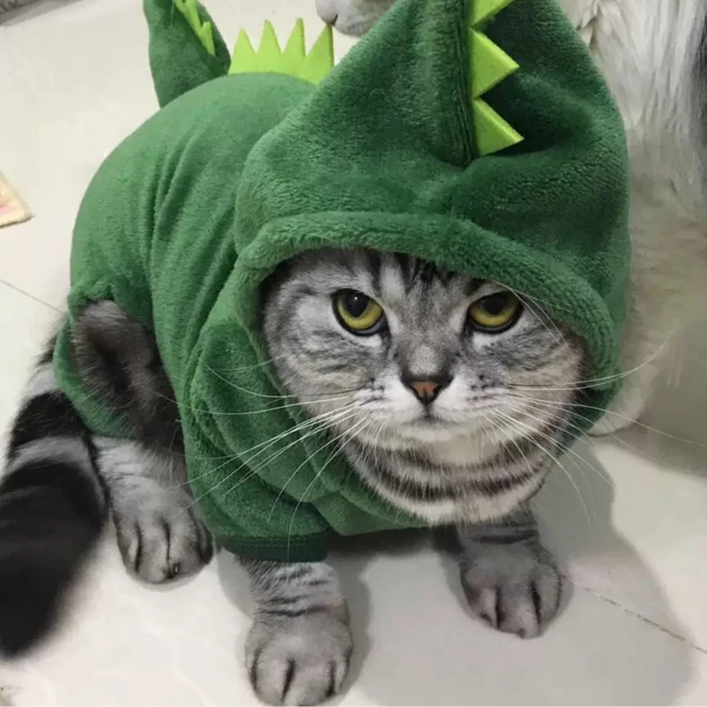 Funny Dinosaur Pet Costume Warm Fleece Hoodie for Cats Dogs Halloween Cosplay Outfit