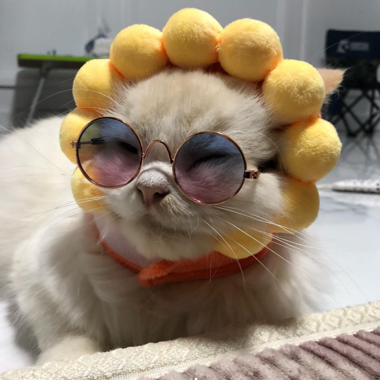 Cotton Cap Dogs Cat Hat Decorative Party Cosplay Halloween Costume Small Medium Large Outfit