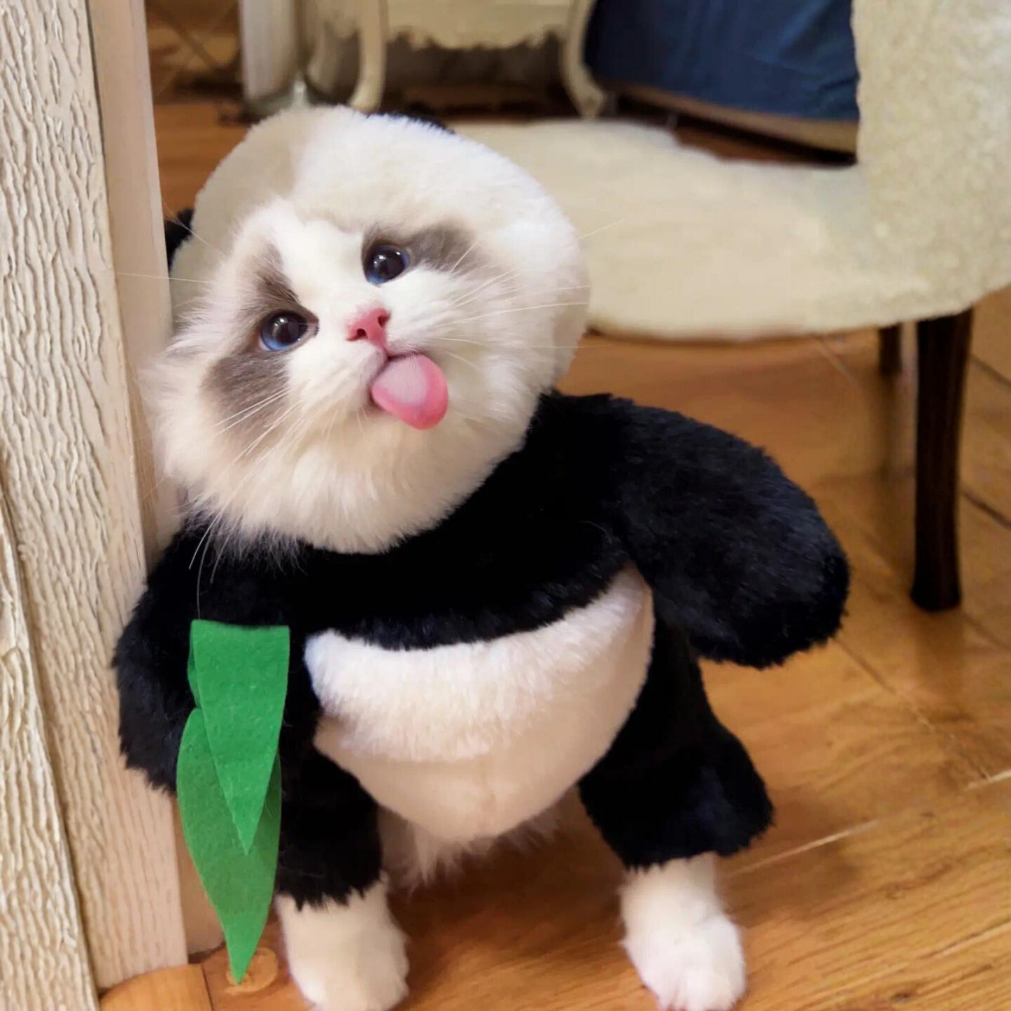 Funny Panda Pet Costume Dress Up Outfit for Dogs Cats Halloween Cosplay Clothes