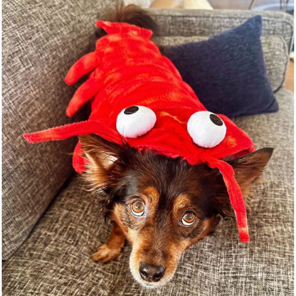 Crayfish Pet Costume Cat Hat Dog Clothes Autumn Winter Transform Outfit Halloween Cosplay