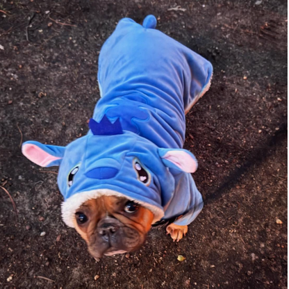 Stitch Pet Costume Jumpsuit for Cats Warm Autumn Winter Cute Halloween Cosplay Dog Outfit