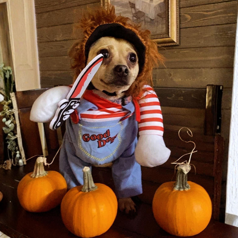 Outfit Set Medium Large Bulldog Pug Funny Novelty Cute Scary Halloween Dog Costume Cosplay