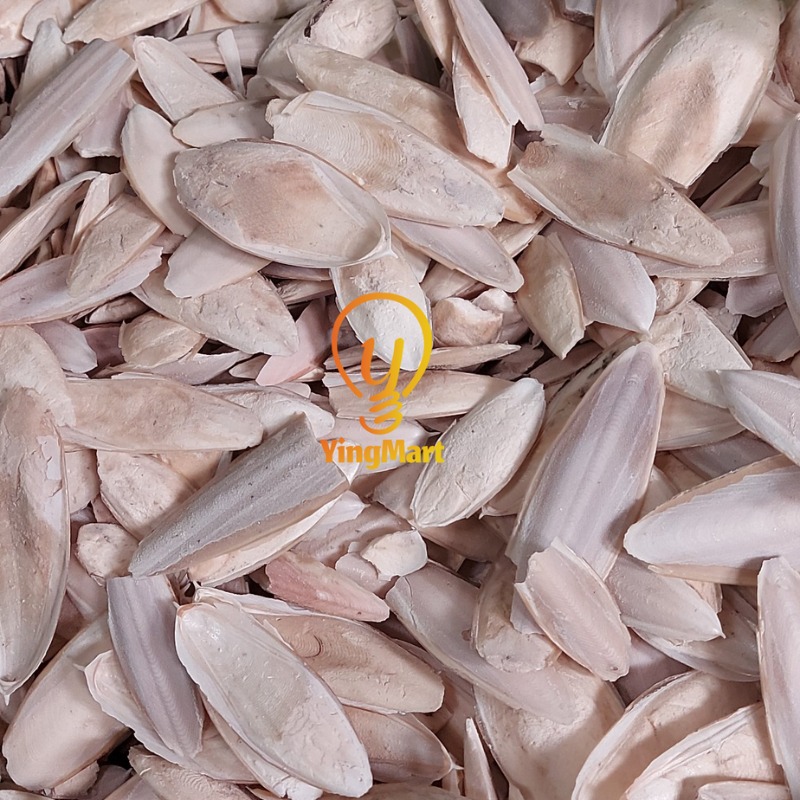 Natural Medium Ocean Cuttlefish Bone Pack 100g, Friendly Calcium Supplement For Birds | Reptiles | Tortoise | Parrot  | Parakeet | Casting Jewelry