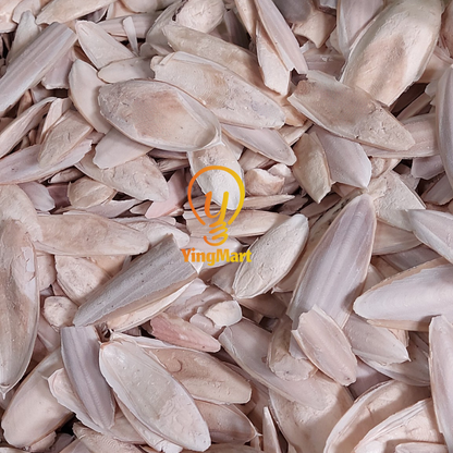 Natural Medium Ocean Cuttlefish Bone Pack 100g, Friendly Calcium Supplement For Birds | Reptiles | Tortoise | Parrot  | Parakeet | Casting Jewelry