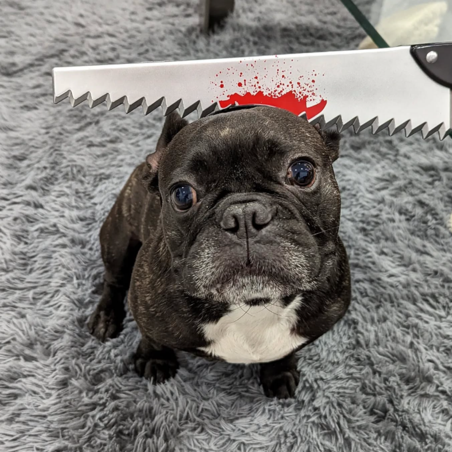 Headband Hat Prop for Dog Cat Funny Scary Horror Cosplay Halloween Christmas Pet Costume Small Medium