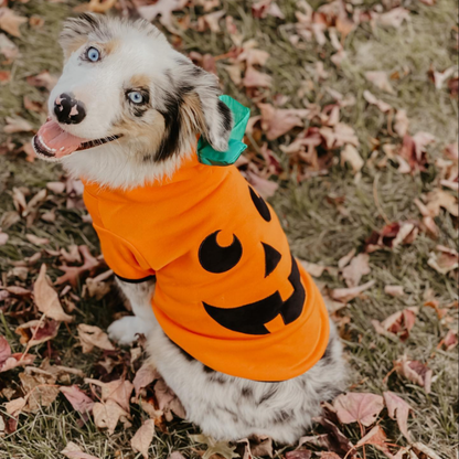 Pet Clothes Funny Pumpkin Clothes WintPumpkin Hooded Outfit for Dogs Cats Small Medium Large Funny Fleece Warm Halloween Pet Costumeer Pet Clothes Halloween Clothes Dog Clothes