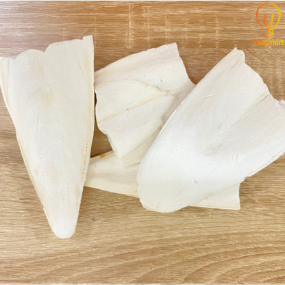 Natural Large Ocean Cuttlefish Bone Pack 100g, Friendly Calcium Supplement For Birds | Parrot | Parakeet | Casting Sterling Silver| Jewelry Making