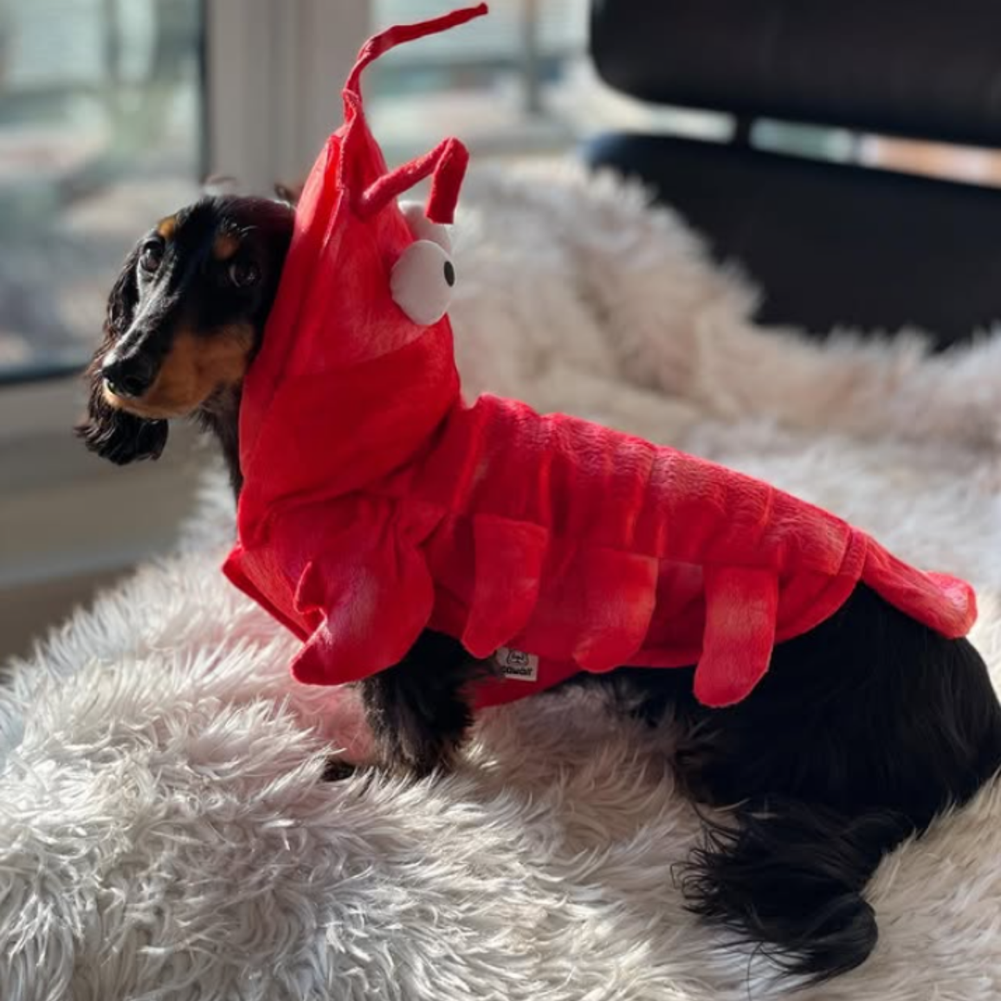 Crayfish Pet Costume Cat Hat Dog Clothes Autumn Winter Transform Outfit Halloween Cosplay