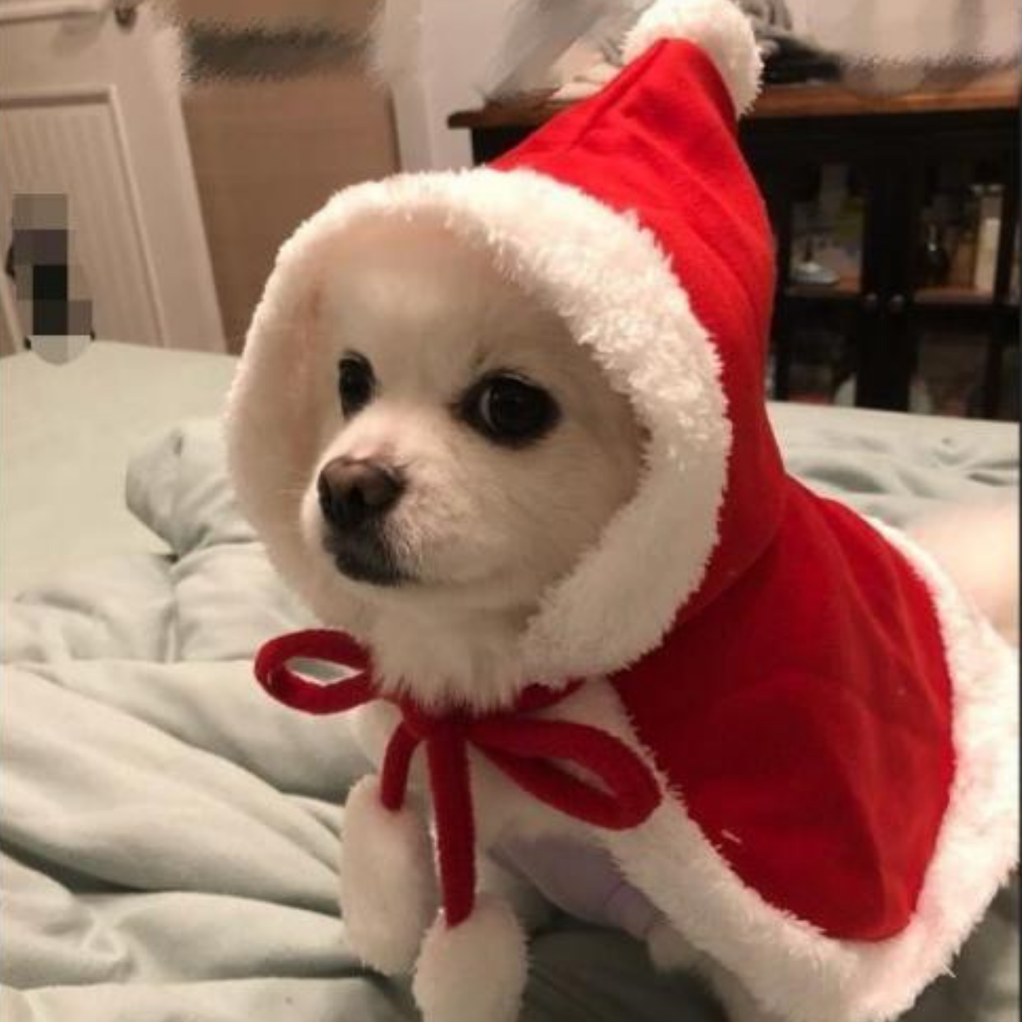 Christmas Pet Costume Hooded Cloak for Small Dogs Cats Warm Winter Outfit Holiday Clothes