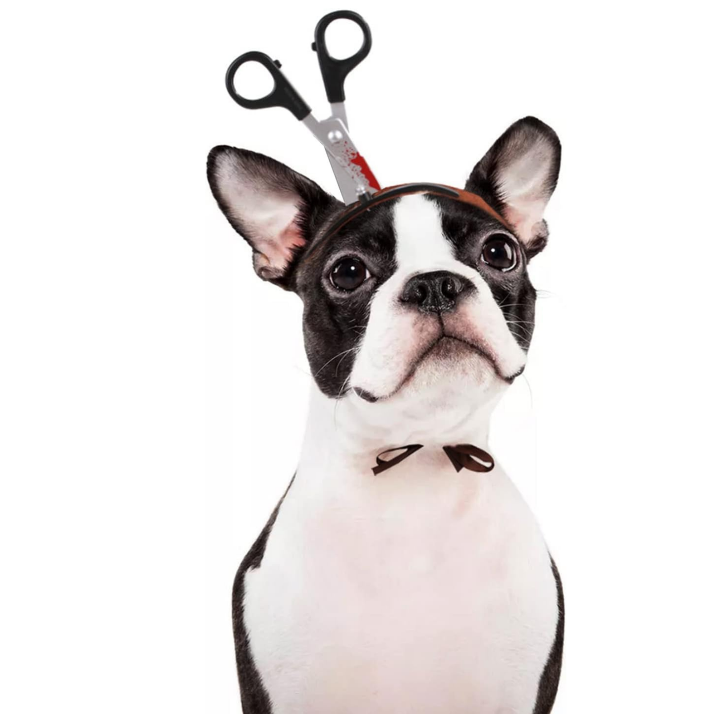 Headband Hat Prop for Dog Cat Funny Scary Horror Cosplay Halloween Christmas Pet Costume Small Medium