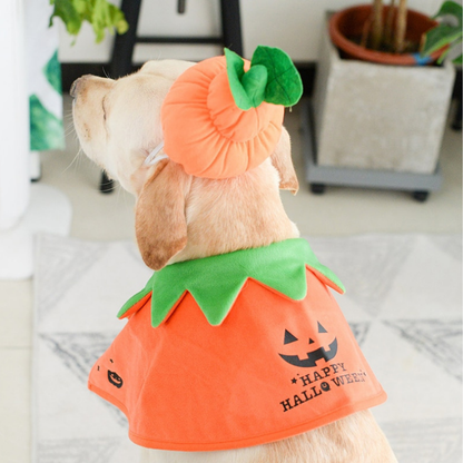 Cloak for Cats & Dogs Double-Sided Embroidered Halloween Cosplay Party pet costume
