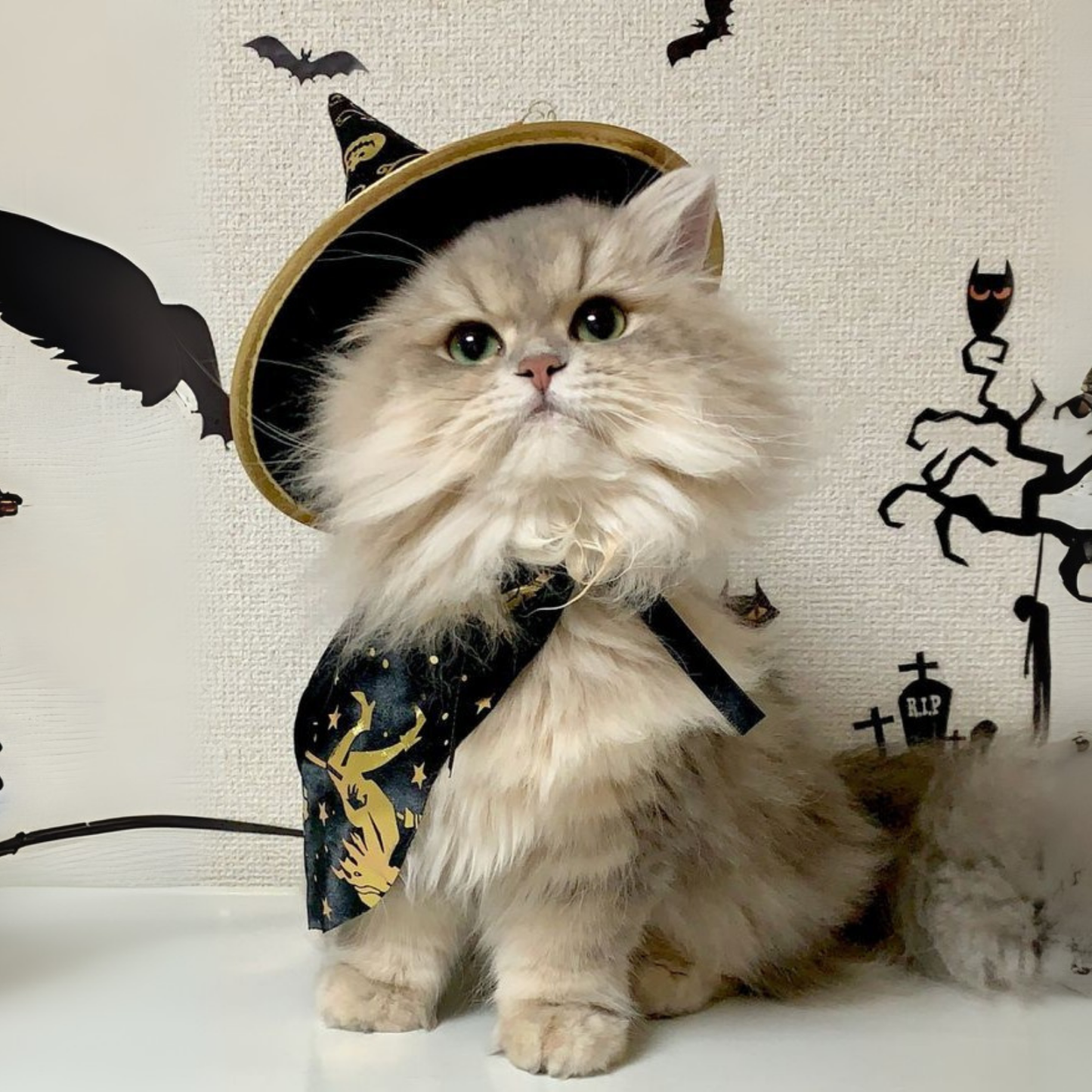 Witch Cloak Hat Set For Cats Dogs Wizard Theme Halloween Party Pet Costume Cosplay