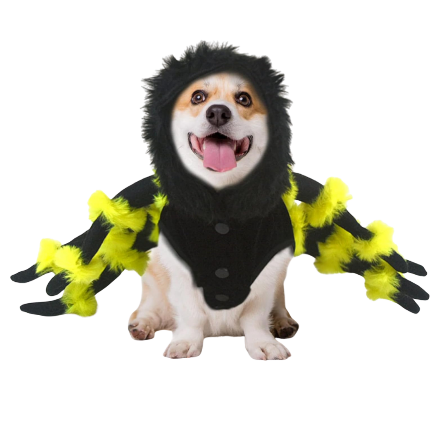 Spider Pet Costume Cat Dog Clothes Funny Halloween Cosplay Outfit Cute Dress Up Shirt