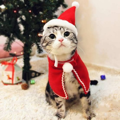 Christmas Elk Pet Costume Warm Cloak Hat Set for Small Dogs Cats Winter Hoodie Outfit