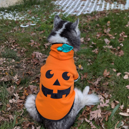 Pet Clothes Funny Pumpkin Clothes WintPumpkin Hooded Outfit for Dogs Cats Small Medium Large Funny Fleece Warm Halloween Pet Costumeer Pet Clothes Halloween Clothes Dog Clothes
