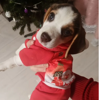 Christmas Pet Dog Clothes Warm Soft Hoodie Sweatshirt for Small Dogs Cats Winter Outfit