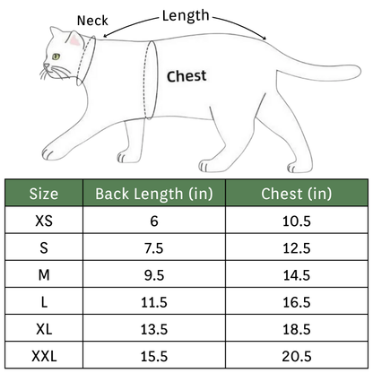 Funny Dinosaur Pet Costume Warm Fleece Hoodie for Cats Dogs Halloween Cosplay Outfit